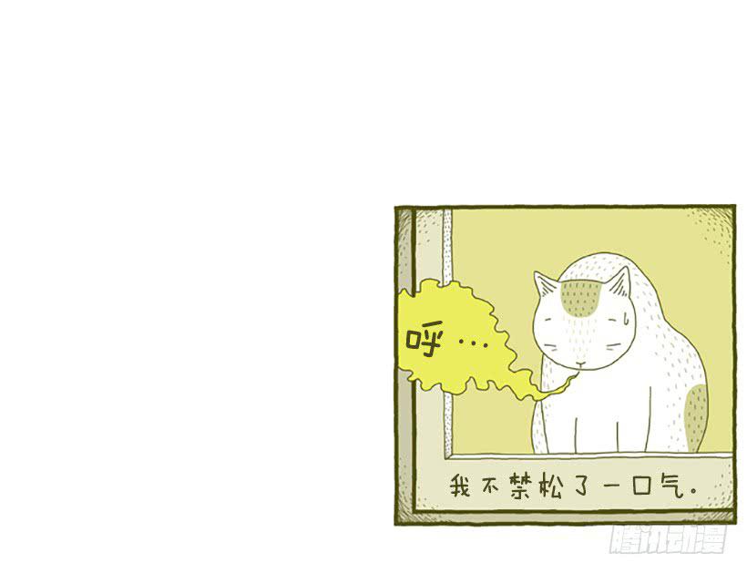 窗外的猫 下篇19
