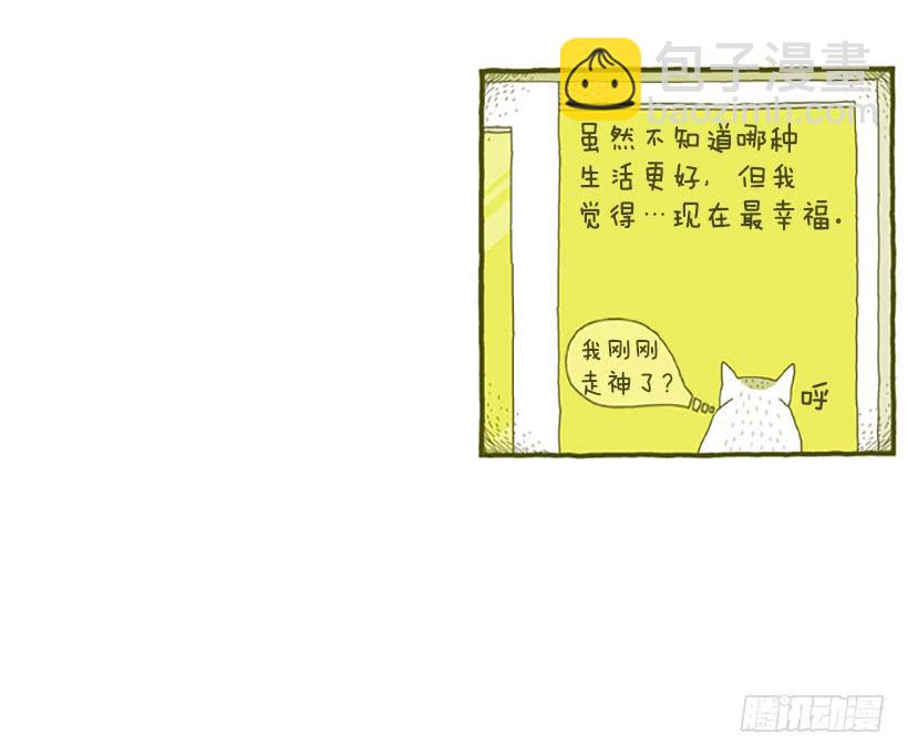 窗外的猫 下篇20