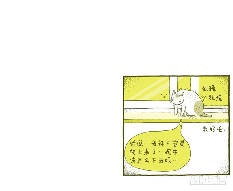 窗外的猫 下篇21