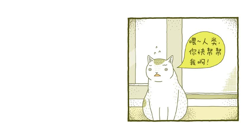 窗外的猫 下篇22