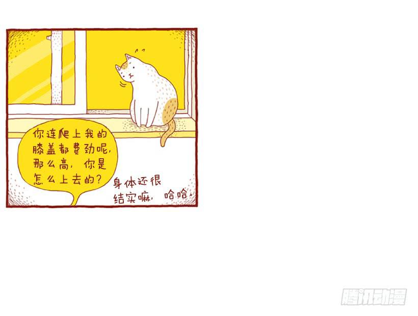 窗外的猫 下篇25