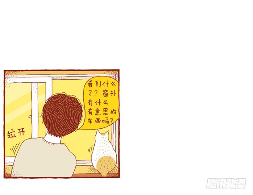 窗外的猫 下篇26