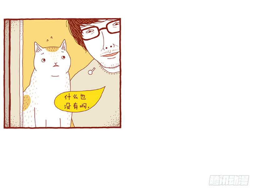 窗外的猫 下篇27