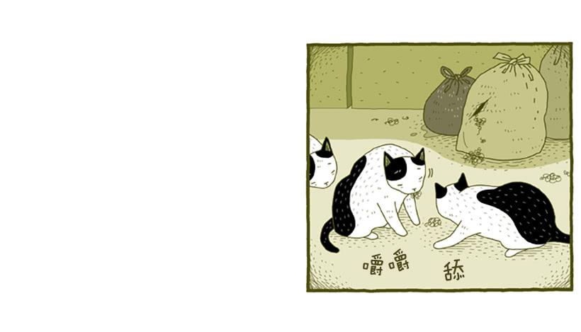窗外的猫 下篇3