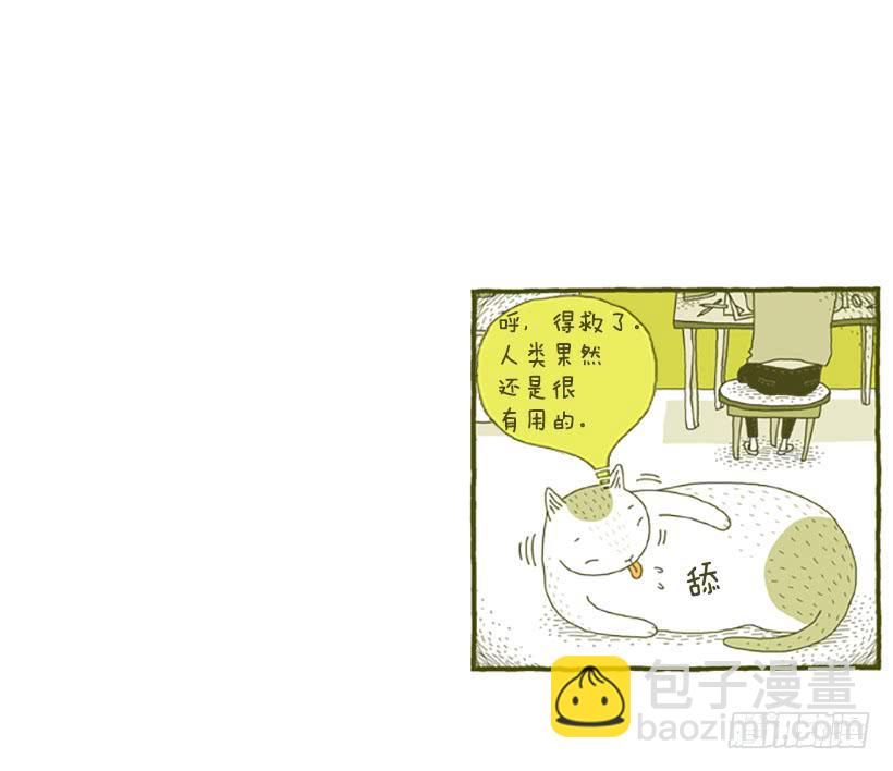 窗外的猫 下篇33