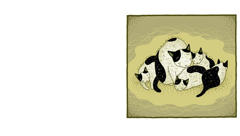 窗外的猫 下篇5
