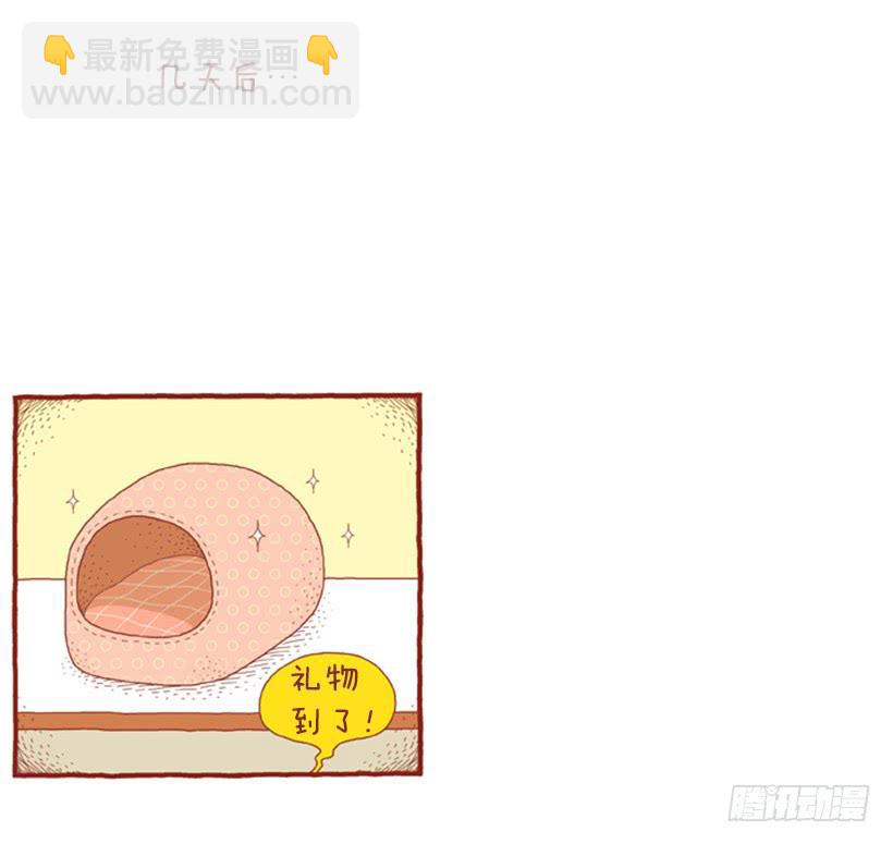 只属于我们的生日派对32