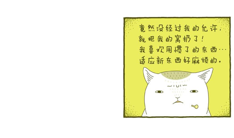 只属于我们的生日派对35