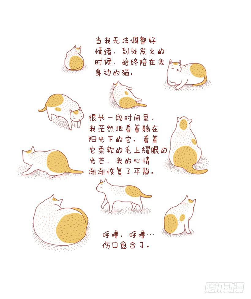 如空气般自然的存在39
