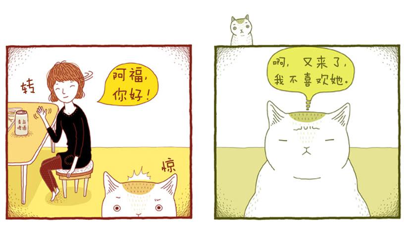 喜欢猫的女人 上篇10