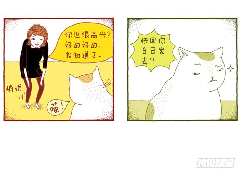 喜欢猫的女人 上篇11