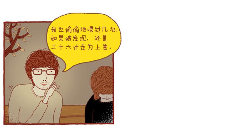喜欢猫的女人 下篇10