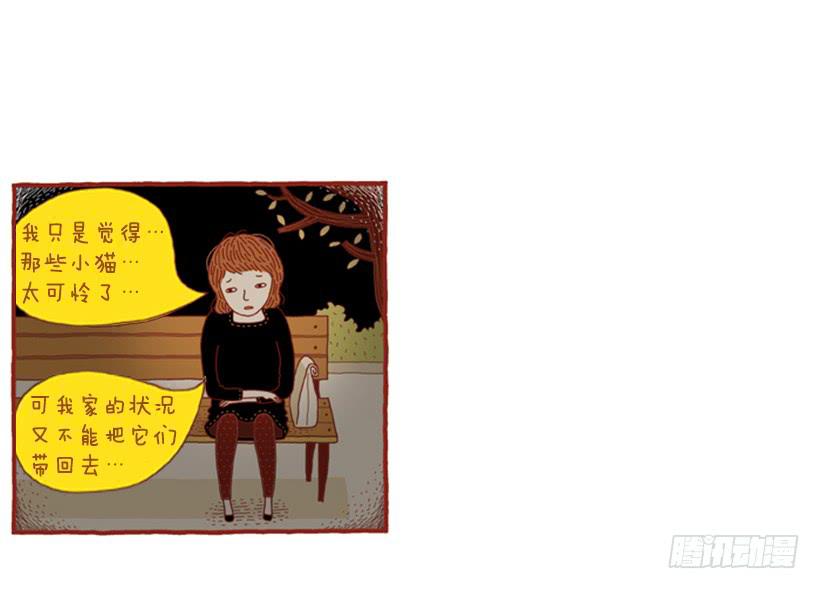 喜欢猫的女人 下篇20