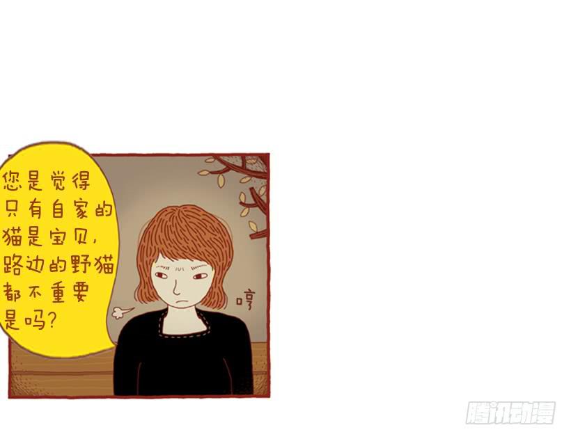 喜欢猫的女人 下篇25