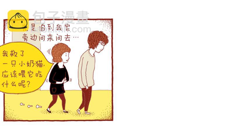 喜欢猫的女人 下篇42