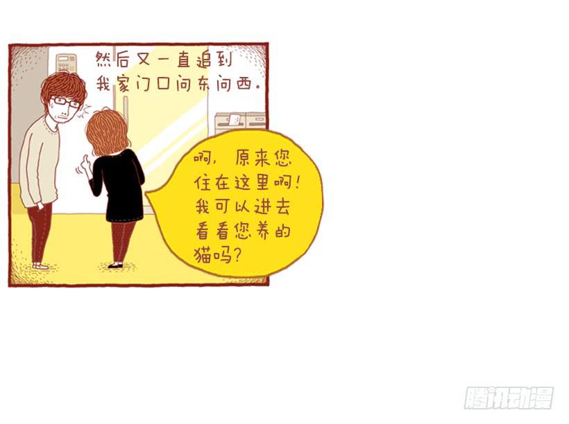 喜欢猫的女人 下篇43