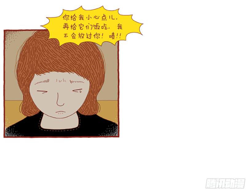 喜欢猫的女人 下篇5
