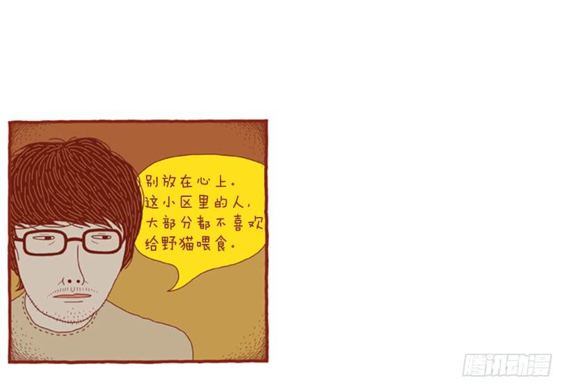 喜欢猫的女人 下篇9