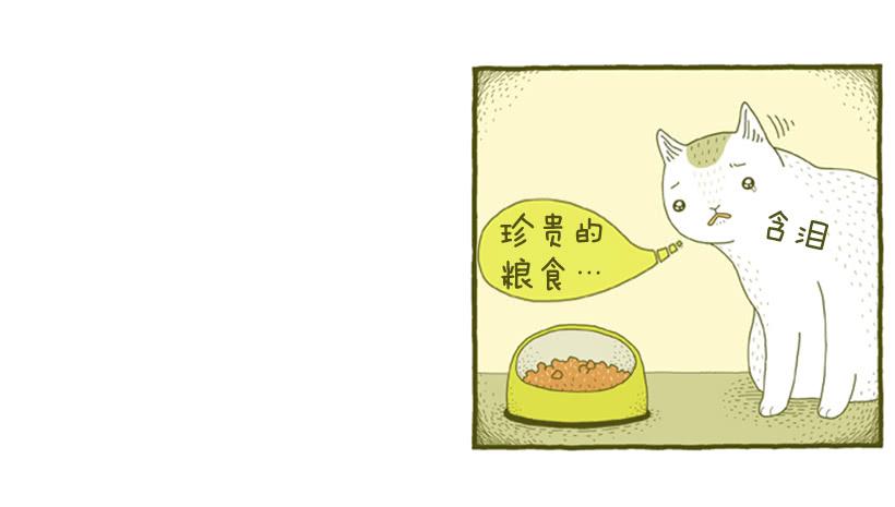到底发生了什么事29