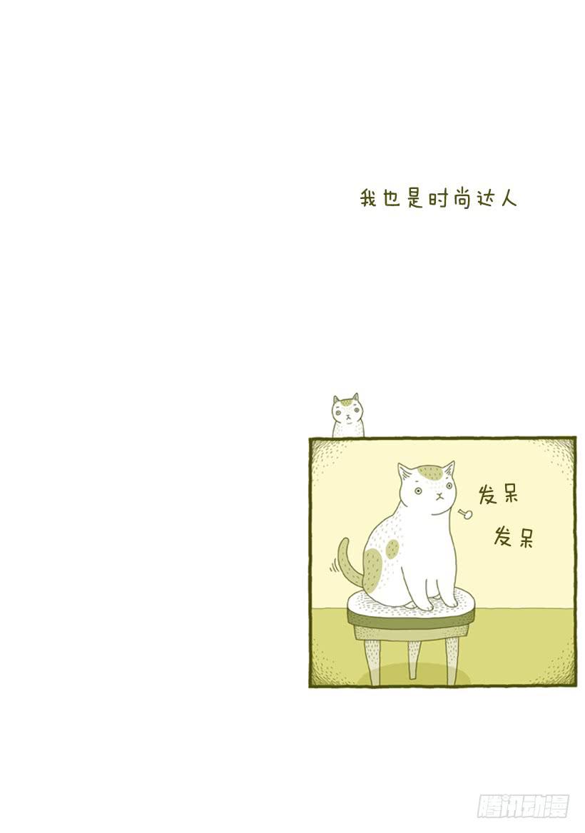 我也是时尚达人1