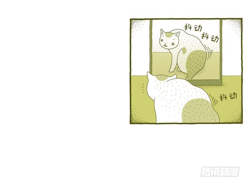 我也是时尚达人12