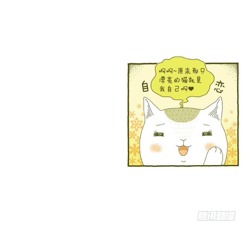 我也是时尚达人13