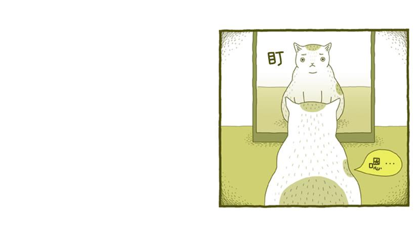 我也是时尚达人20