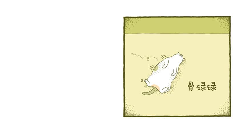 我也是时尚达人28