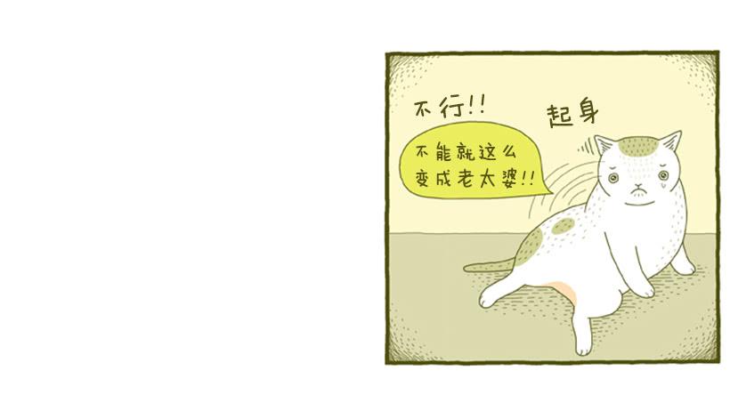 我也是时尚达人31