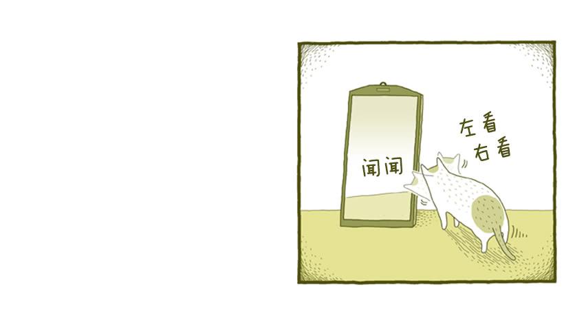 我也是时尚达人4