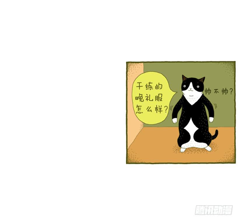 我也是时尚达人41