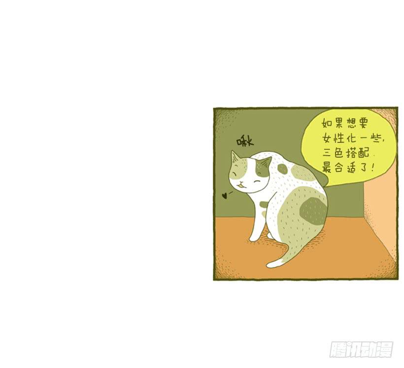我也是时尚达人42
