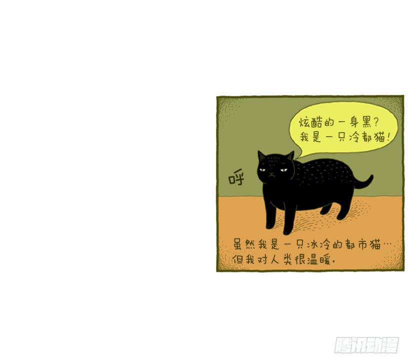 我也是时尚达人43