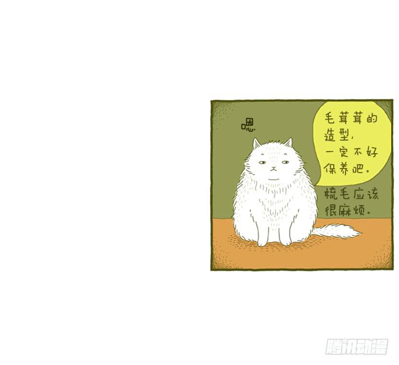 我也是时尚达人45