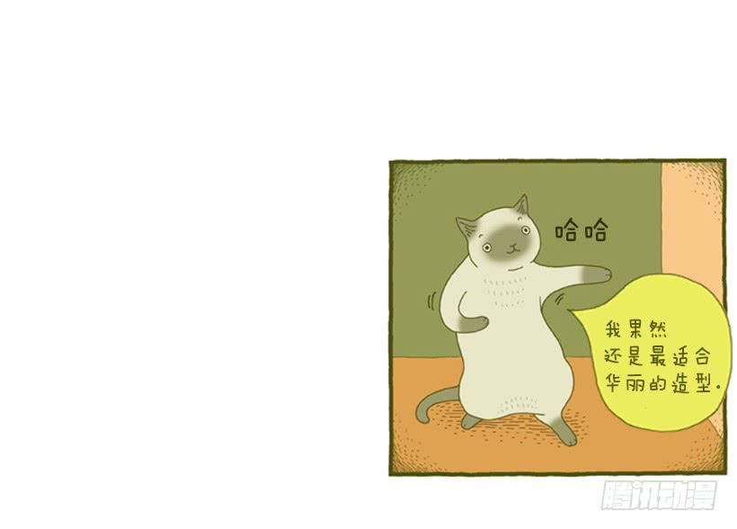 我也是时尚达人46