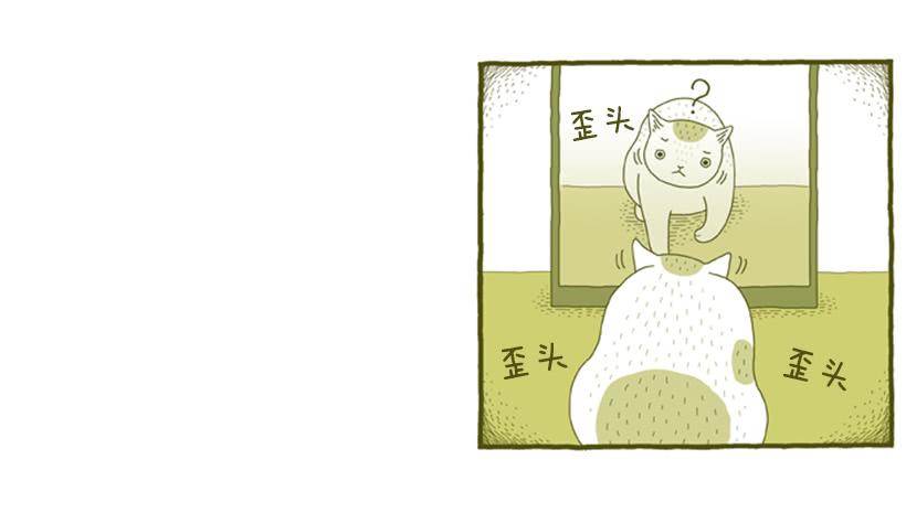 我也是时尚达人9