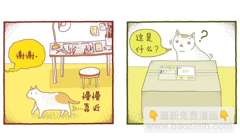 好奇害死猫11