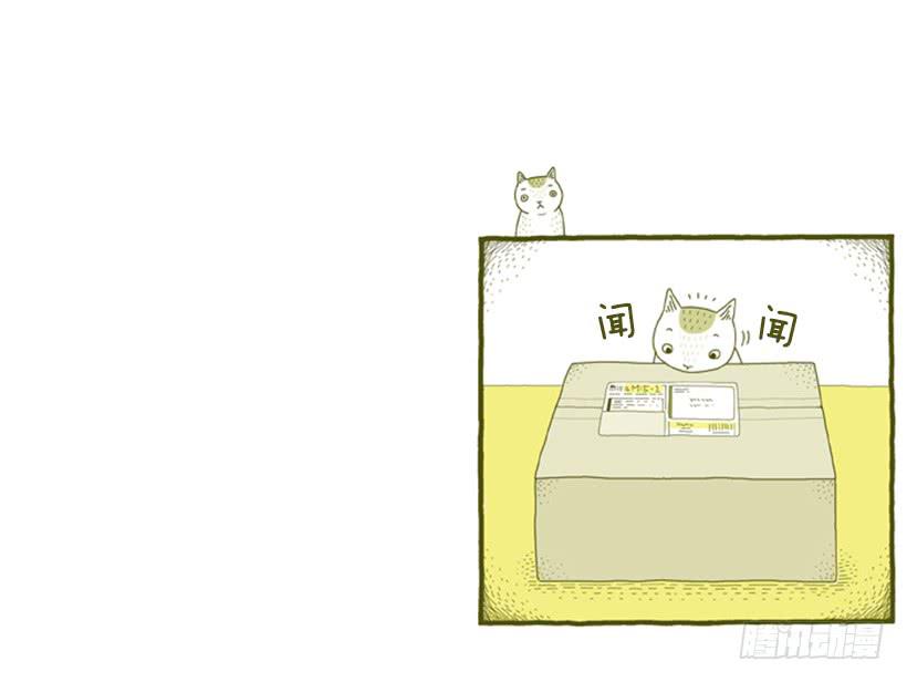 好奇害死猫13
