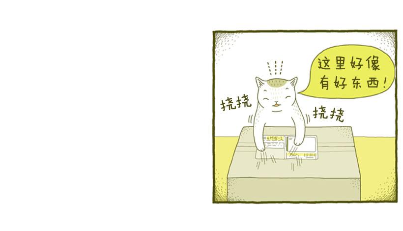 好奇害死猫14
