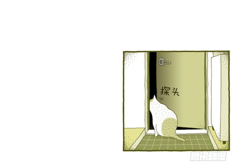 好奇害死猫17
