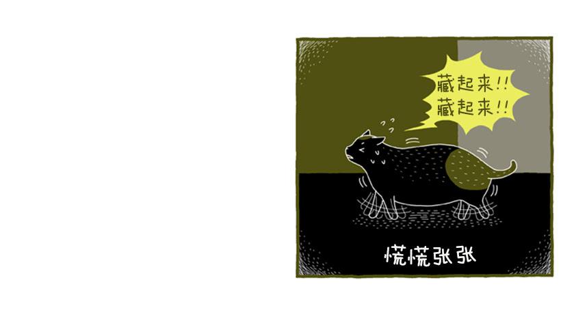好奇害死猫26