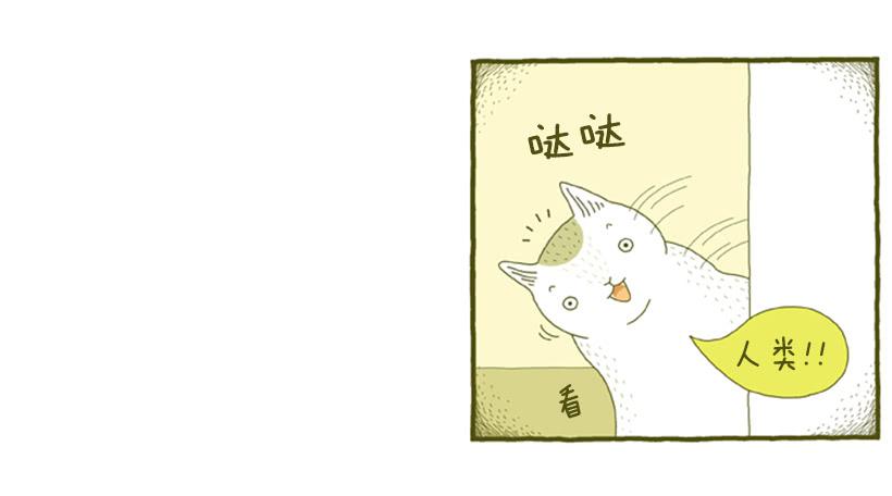 另一件坏事 下篇13