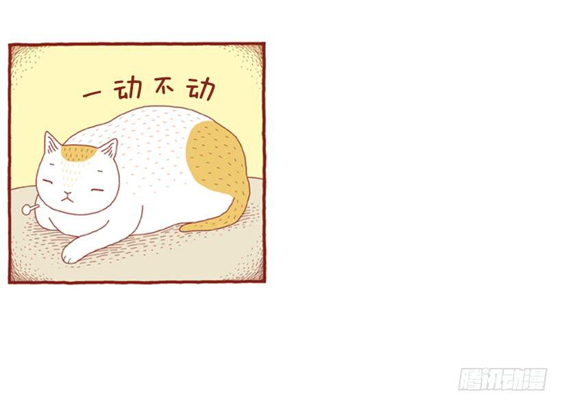偷懒的借口5