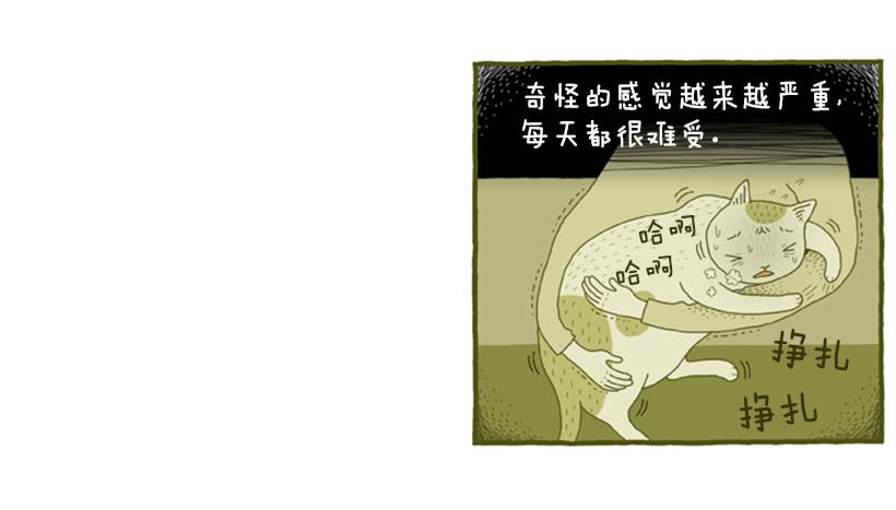 恬静深沉的梦15