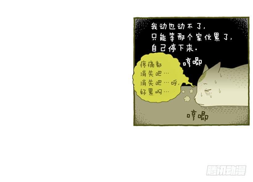 恬静深沉的梦17