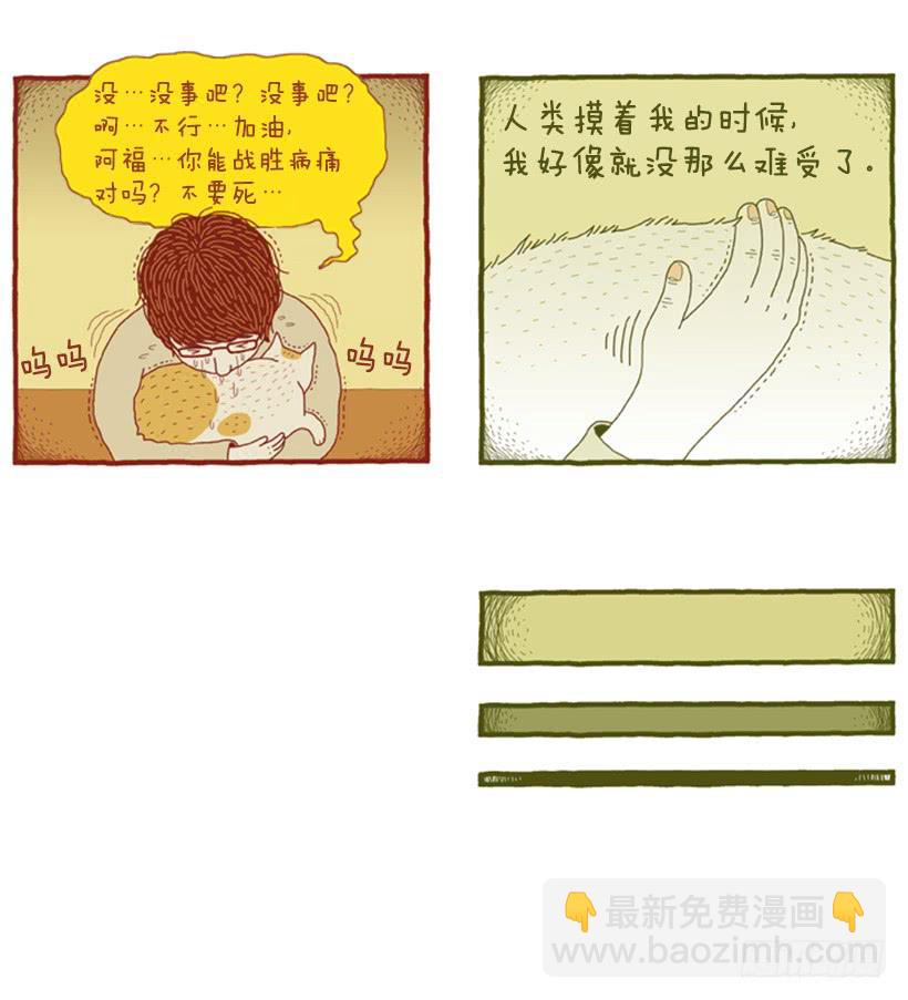 恬静深沉的梦19