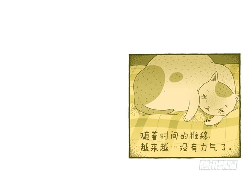 恬静深沉的梦21