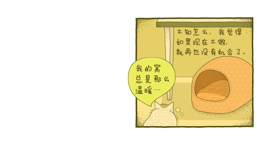 恬静深沉的梦27