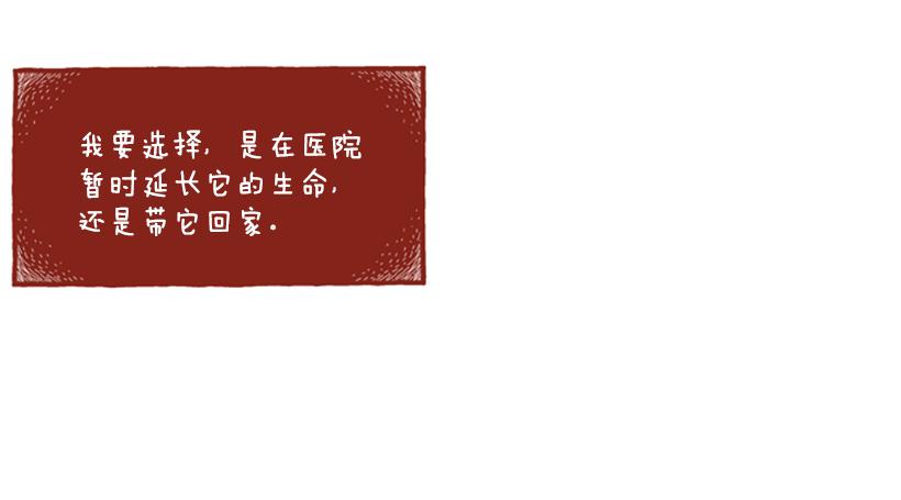 恬静深沉的梦3