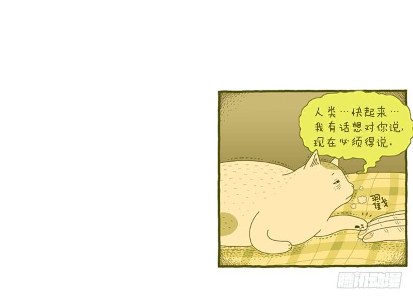 恬静深沉的梦37